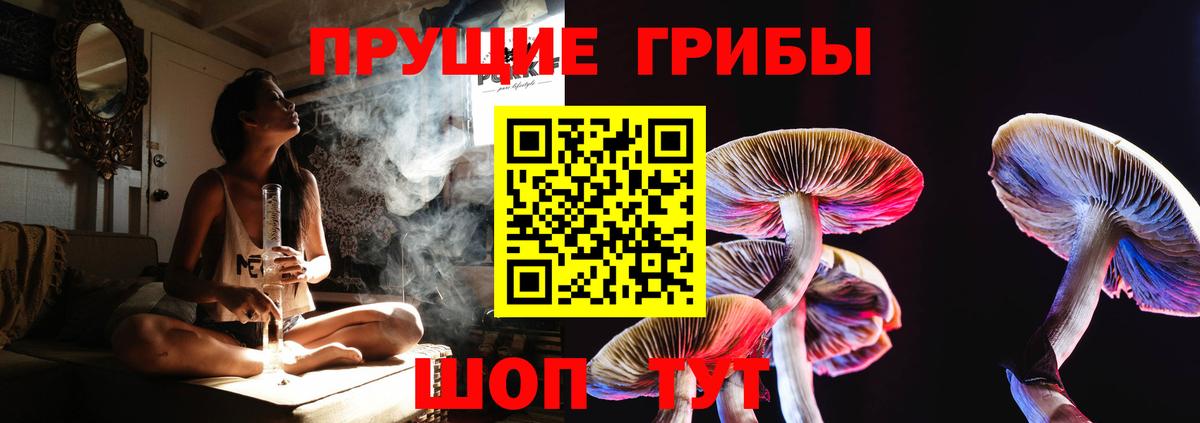 Галлюциногенные грибы мухоморы  где найти   Вход с VPN  Алапаевск  Псилоцибиновые грибы Cubensis 